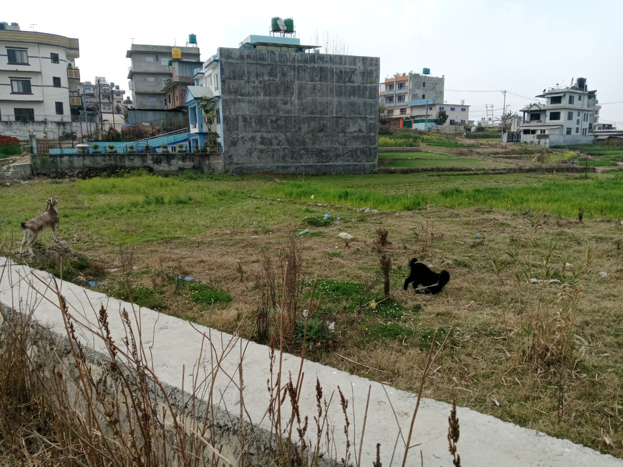 Picture of Mahalaxmi Municipality, Bagmati